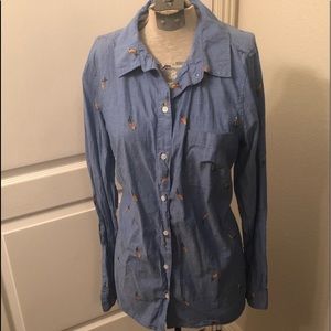 Parrot button up top
